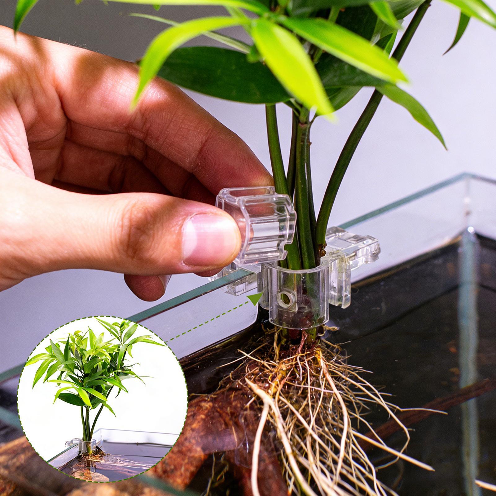 Aquarium Plants Live - Mini Fish Tank Planter Pot 6Pcs