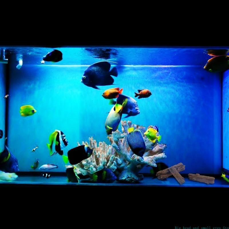 Aquarium Decoration Tree Trunk - огляд і ціна Aquarium Plant Substrate