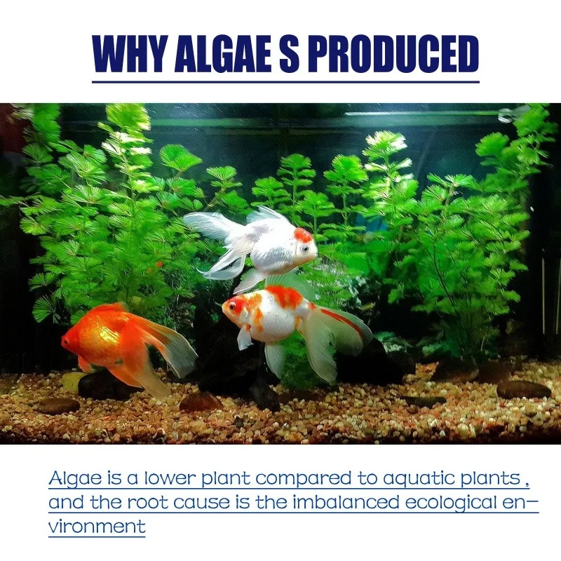 50g High Efficiency Algaecide  - огляд і ціна Aquarium Fertilizer