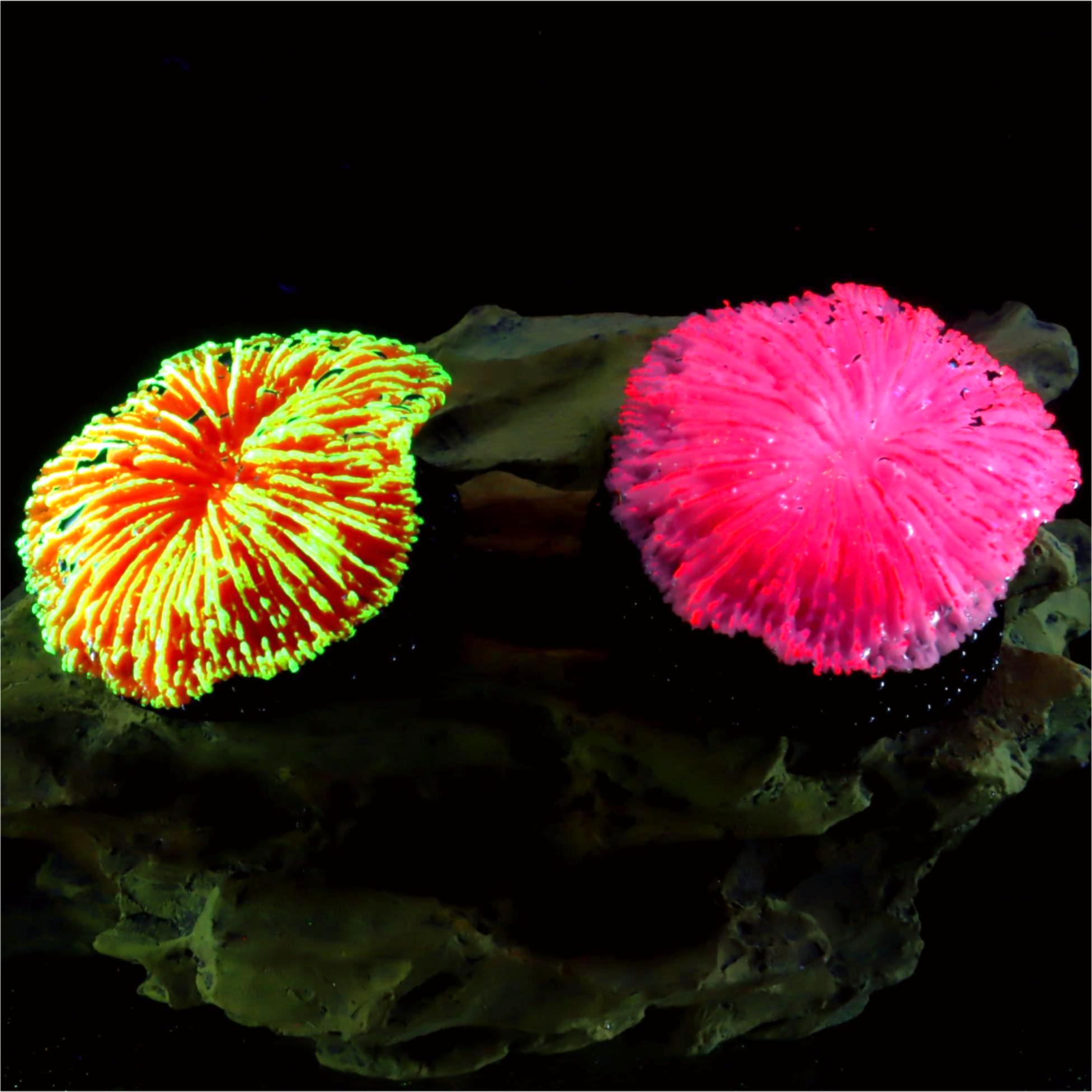 1 Piece Aquarium Decoration Sa - огляд і ціна Live Plant Aquarium