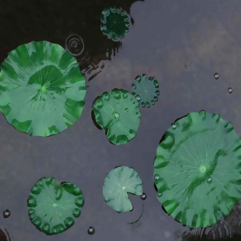 2026 Artificial Water Lily Lot - огляд і ціна Aquarium Moss