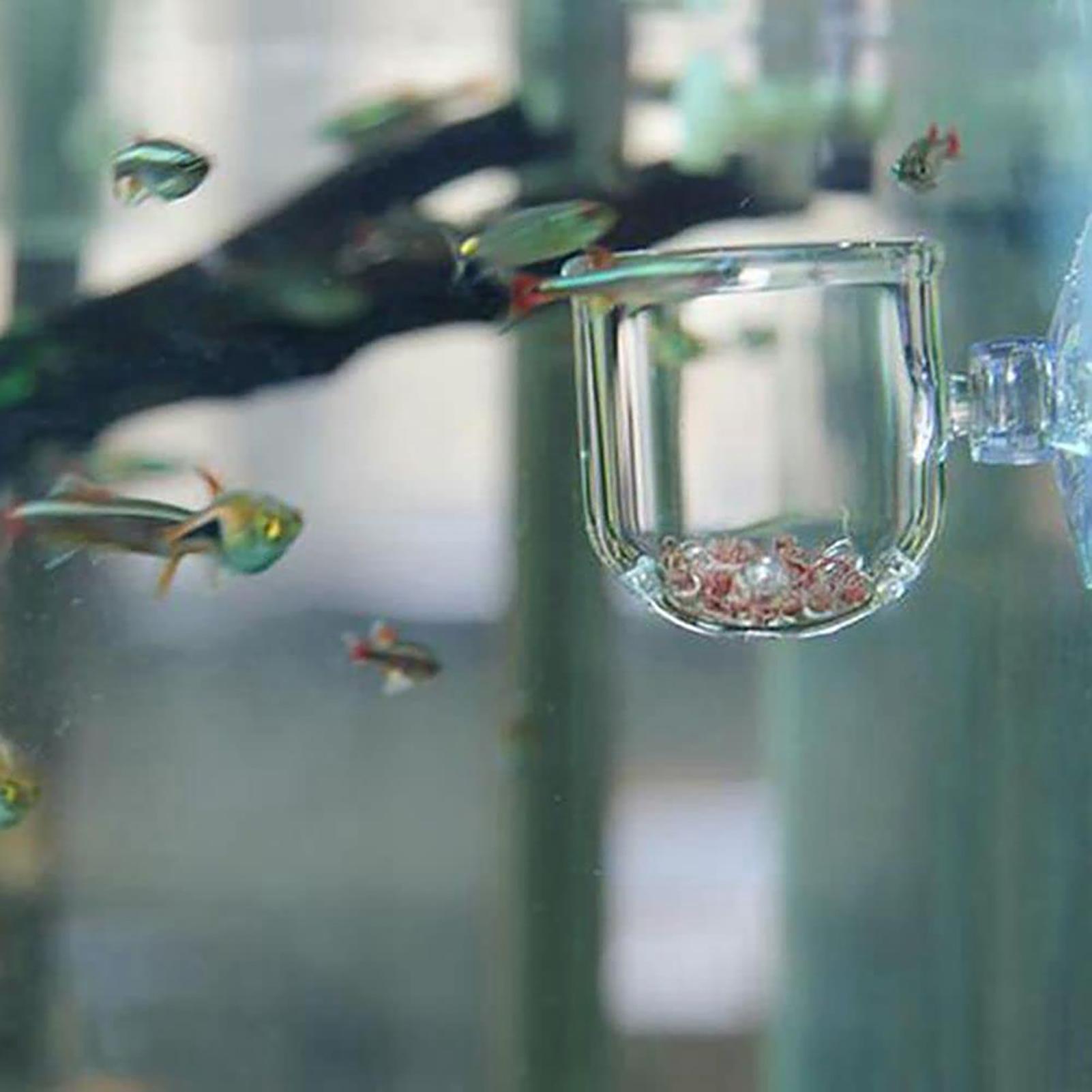 Aquarium Decoration Plant Cup  - огляд і ціна Plant Aquarium Pot