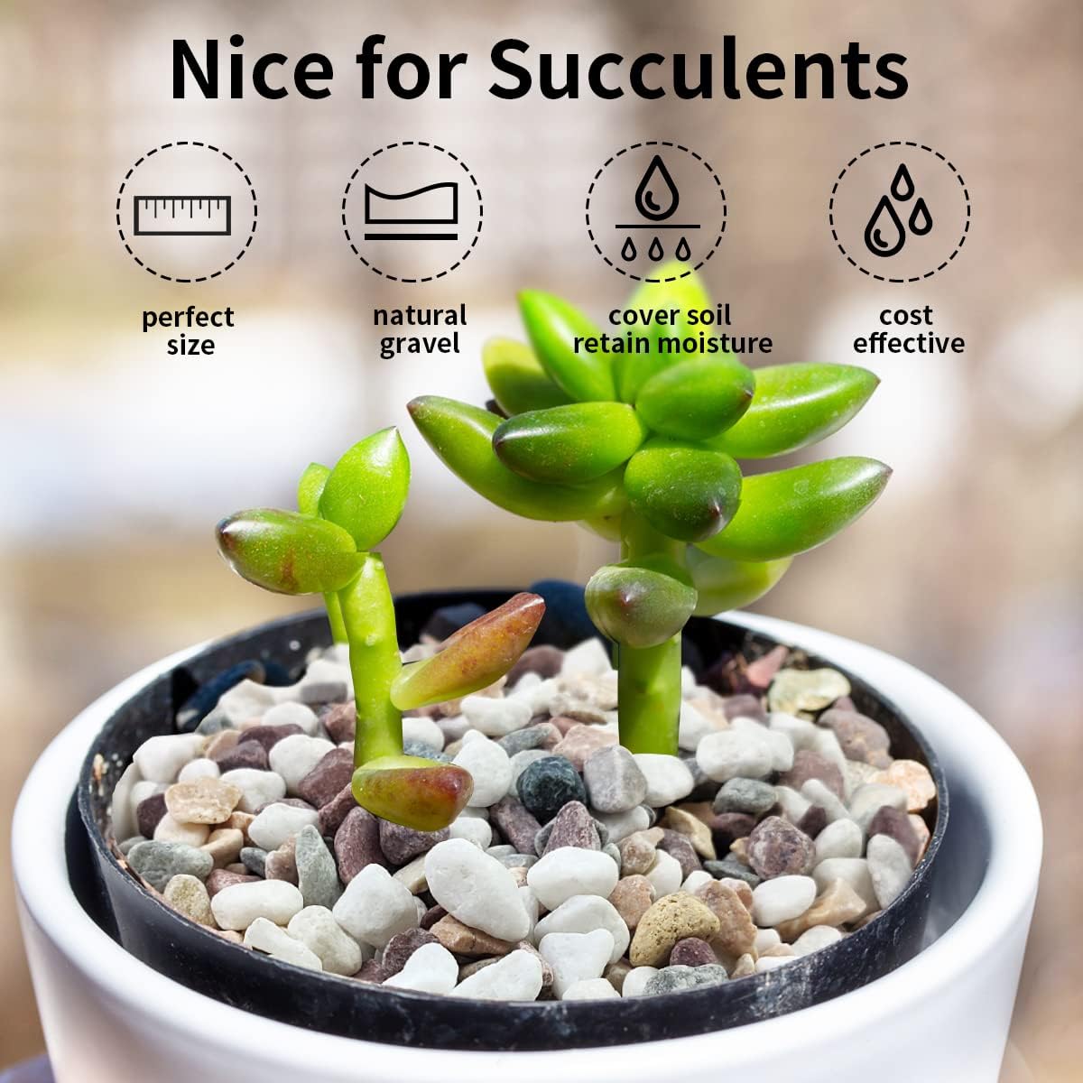 Mixed Color Gravel Stones Deco - огляд і ціна Plant Aquarium Pot