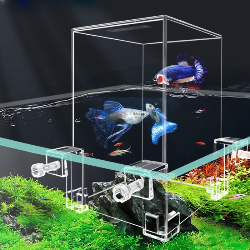 Creative Aquarium Tanks Negati - огляд і ціна Plant Aquarium Pot