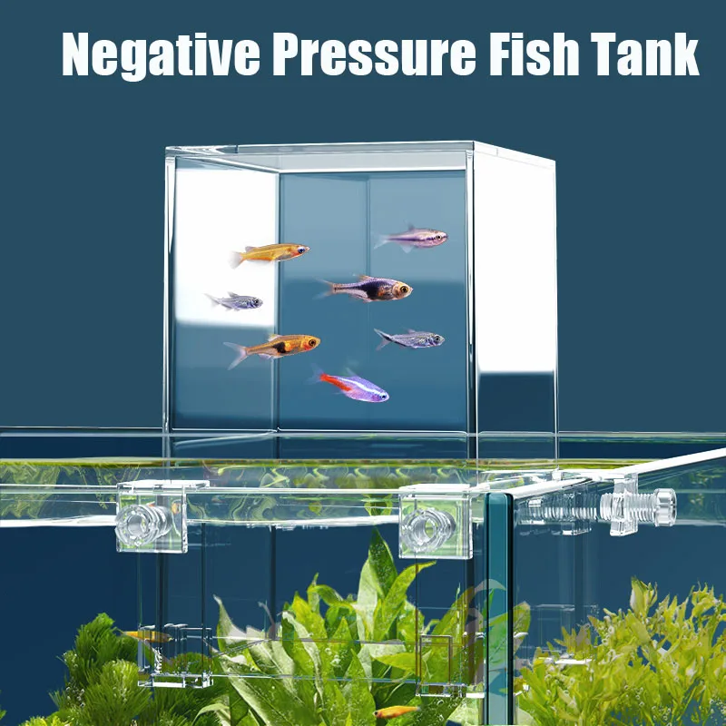 Creative Aquarium Tanks Negati - огляд і ціна Plant Aquarium Pot