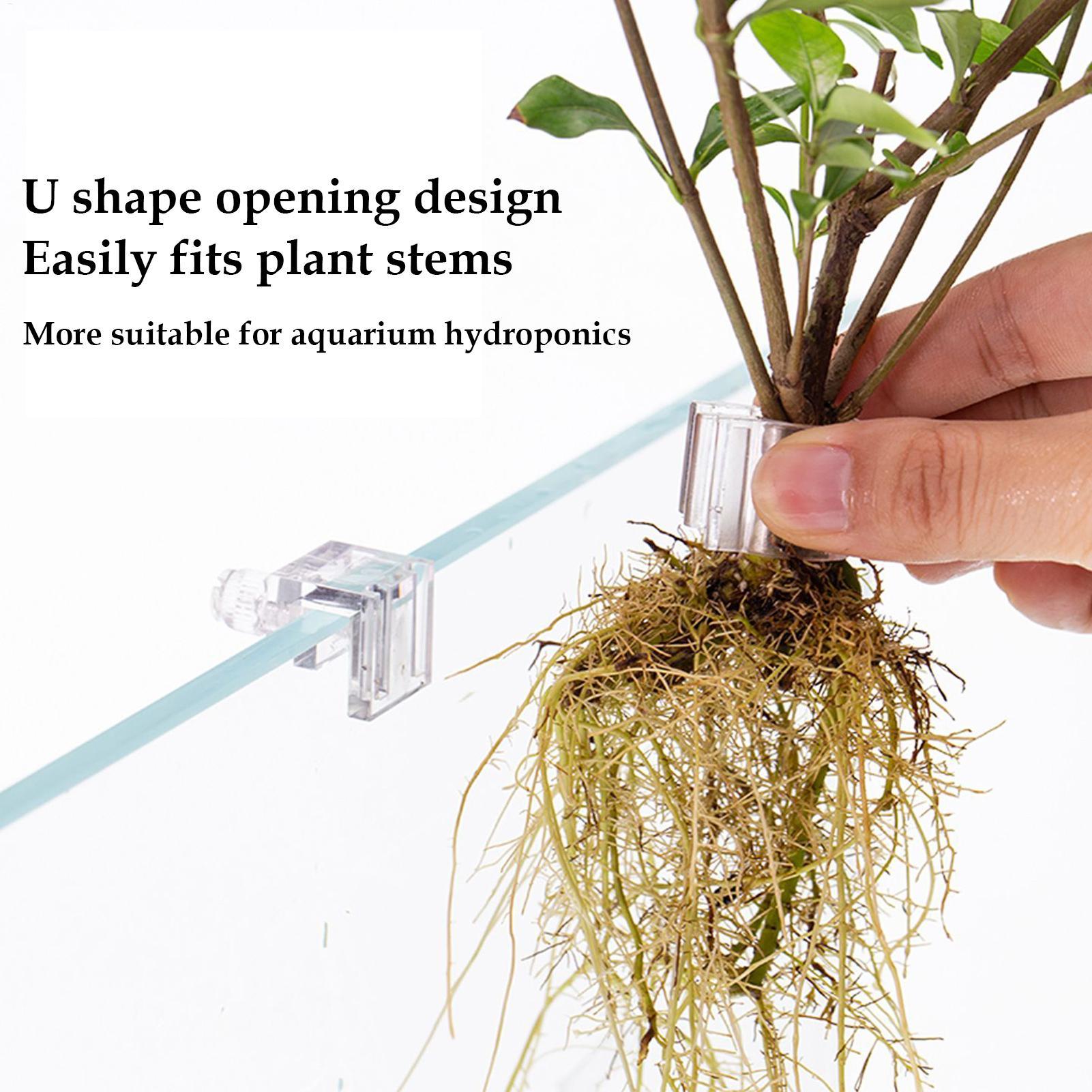 Mini Fish Tank Planter Pot 6Pc - огляд і ціна Aquarium Plants Live