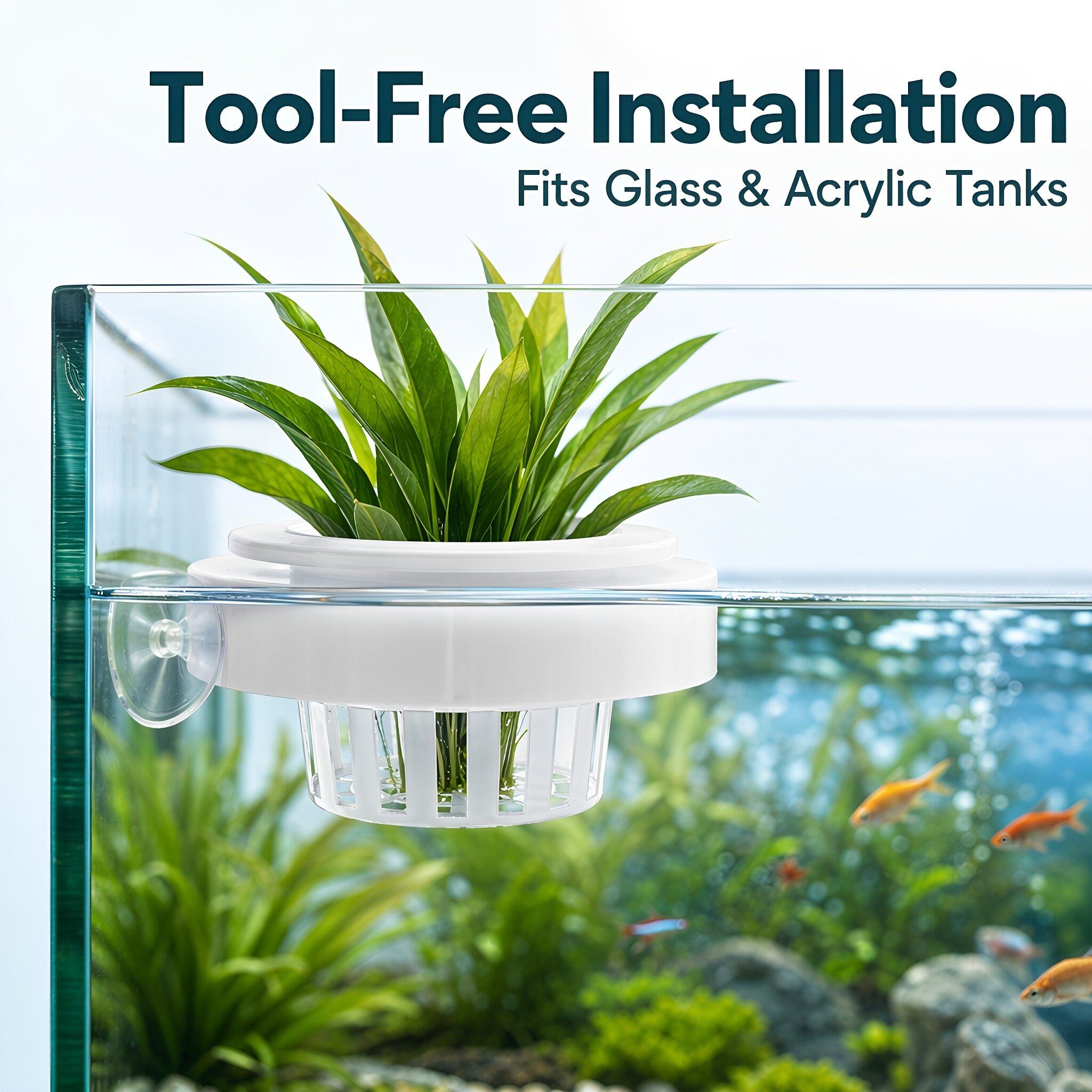 4pcs Floating Aquarium Plant B - огляд і ціна Planted Tank