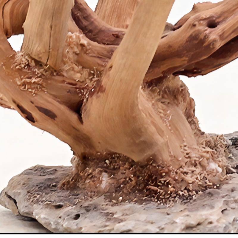1PC Aquarium Landscaping Wood  - огляд і ціна Aquarium Driftwood