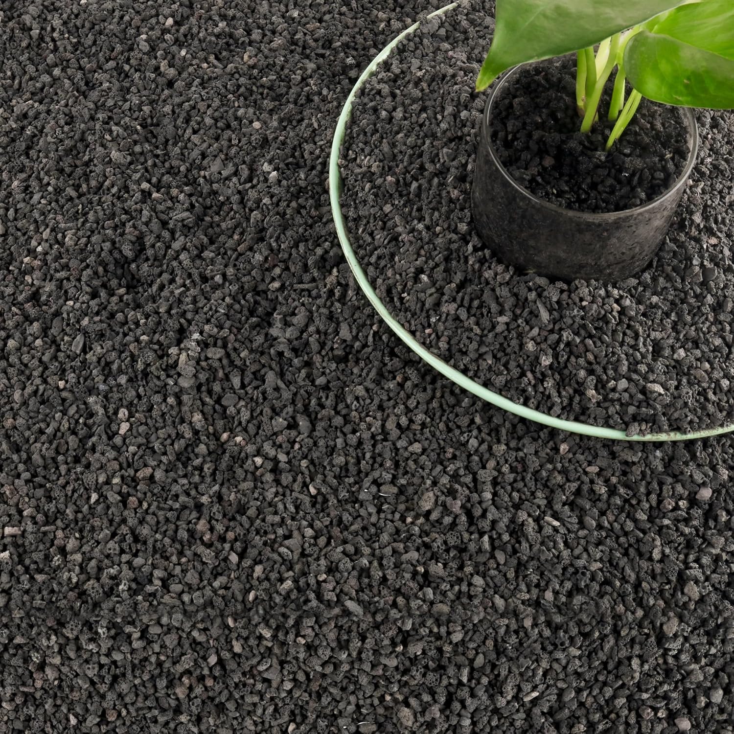 3lb Black Aquarium Filter Medi - огляд і ціна Plant Aquarium Pot