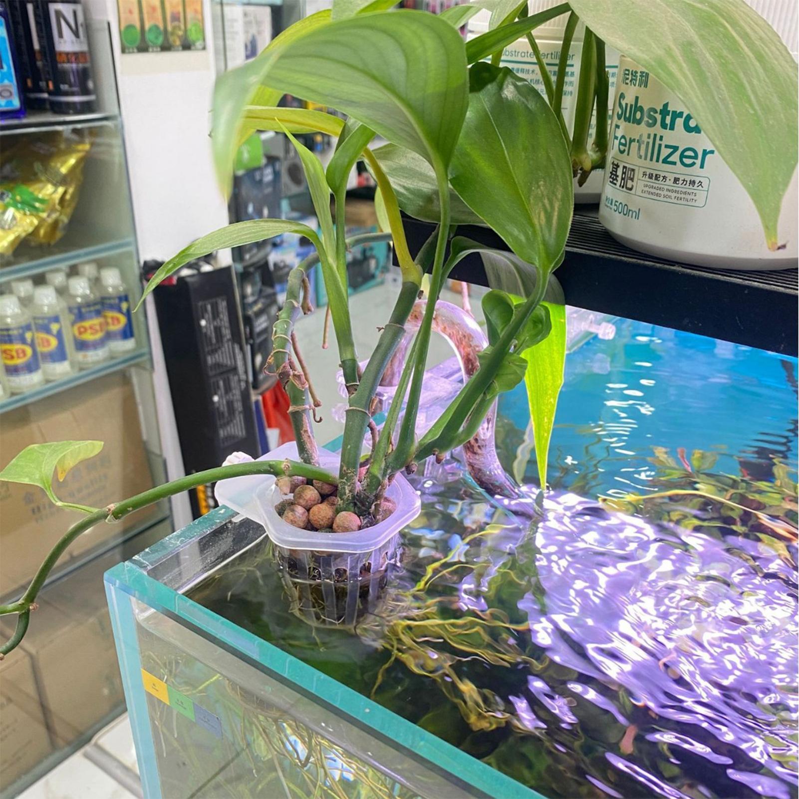 2pcs Fish Tank Planting Cup Hy - огляд і ціна Plant Aquarium Pot