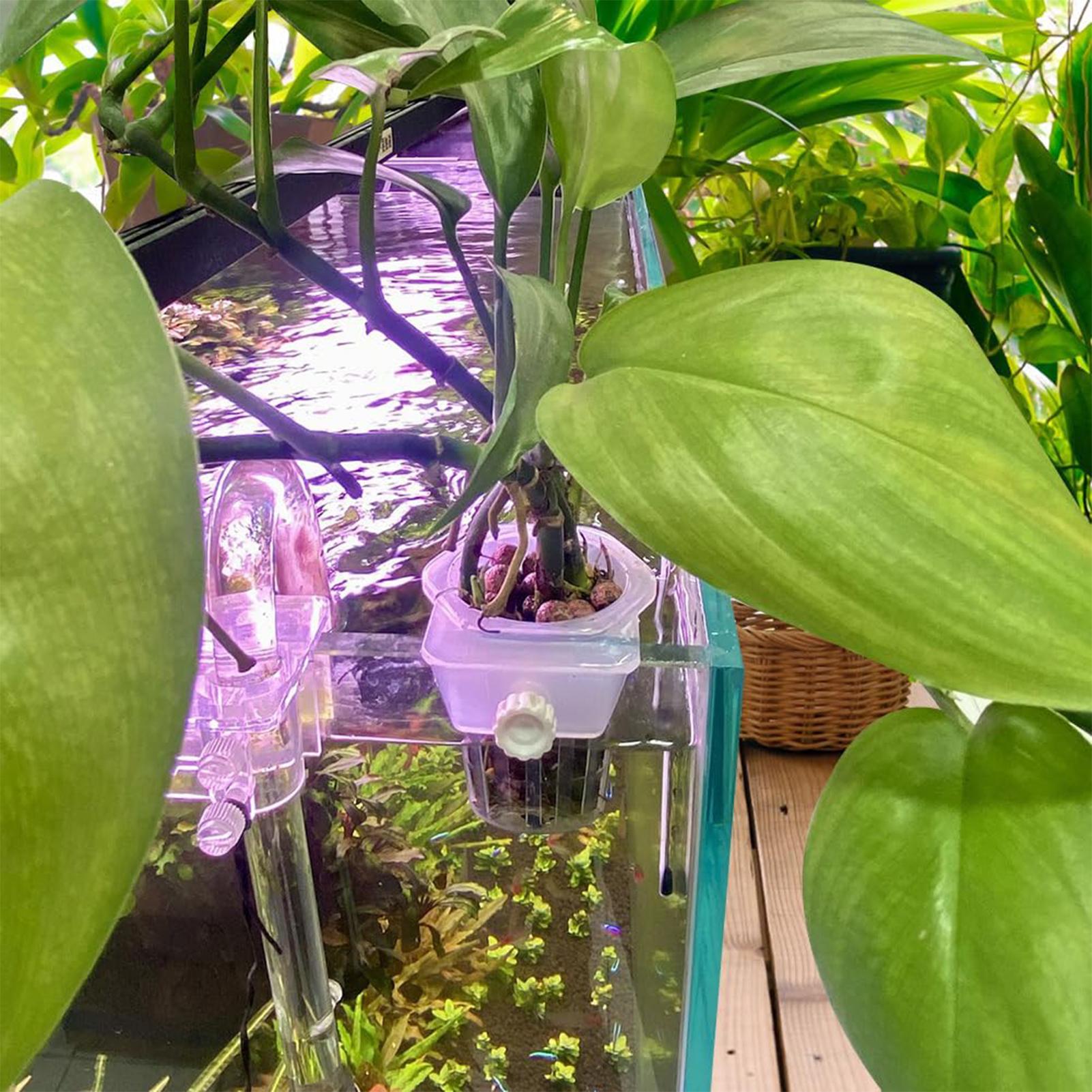 2pcs Fish Tank Planting Cup Hy - огляд і ціна Plant Aquarium Pot