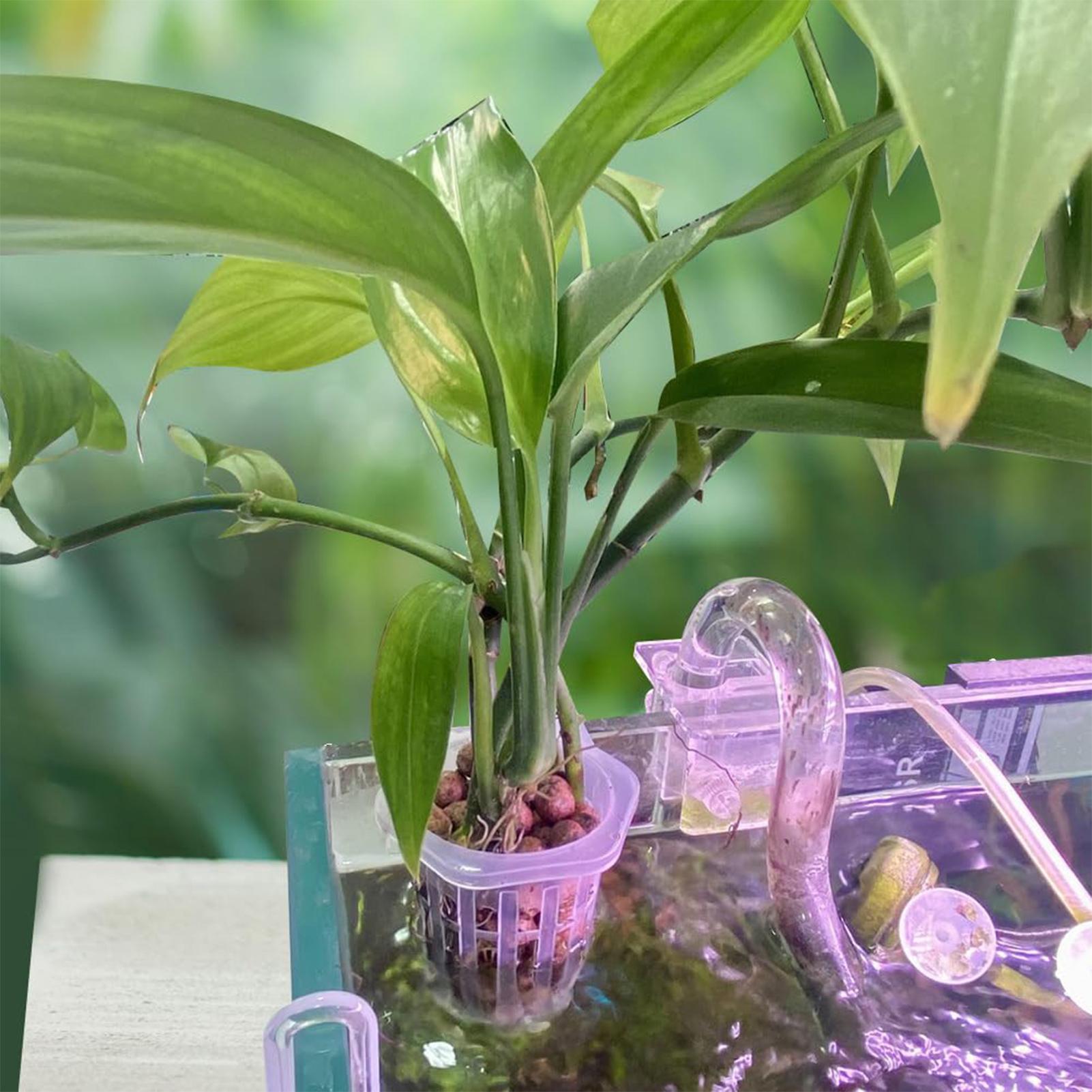 2pcs Fish Tank Planting Cup Hy - огляд і ціна Plant Aquarium Pot