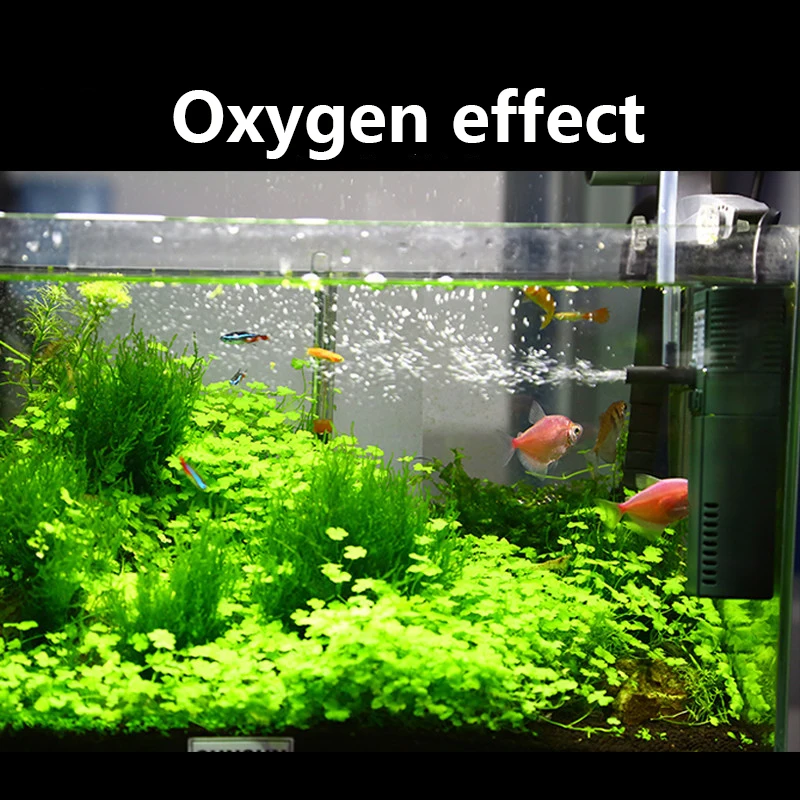 SUNSUN Mini Nano 111B 311B 611 - огляд і ціна Aquarium Planted Tank Filter