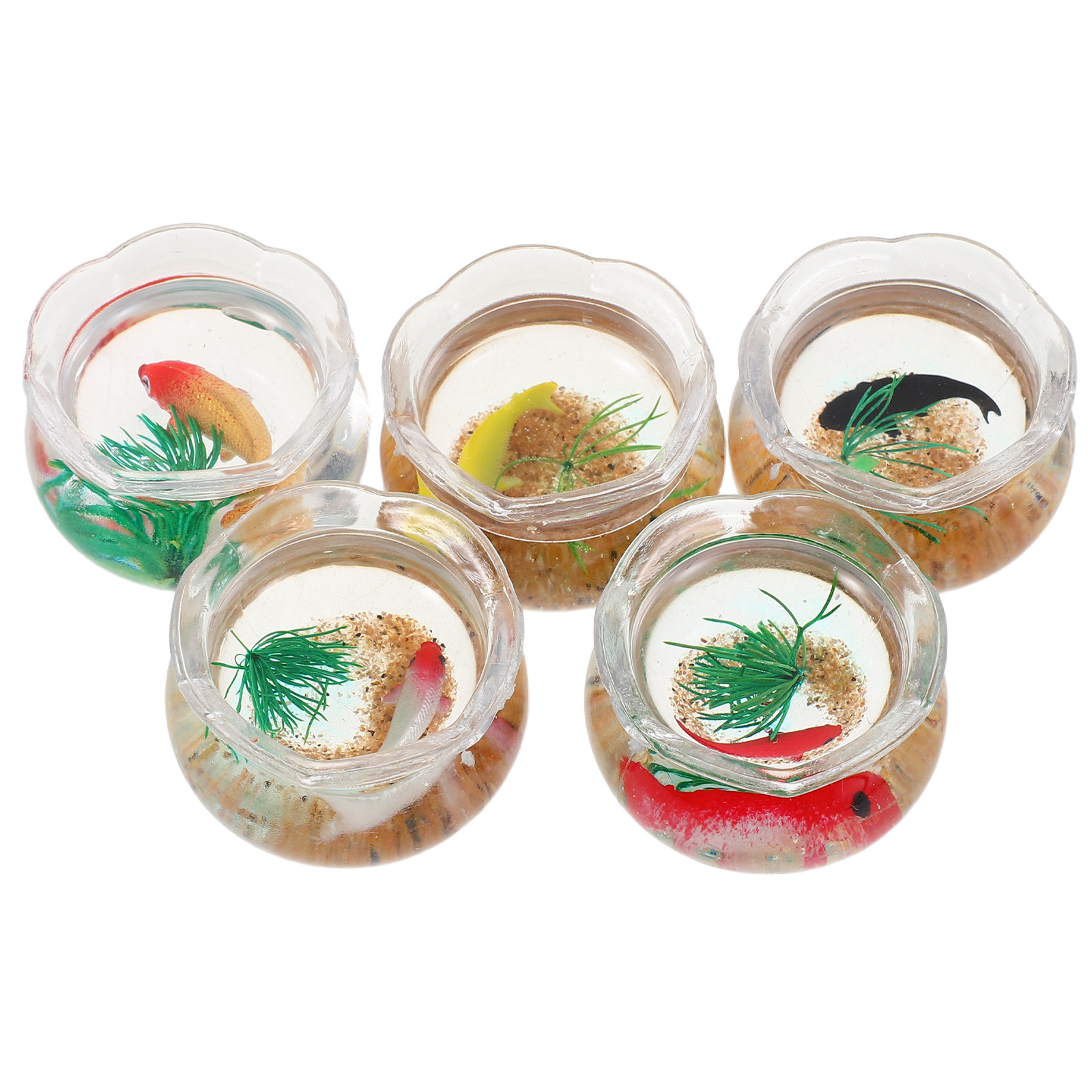 5pcs Miniature Koi Fish Tank:  - огляд і ціна Planted Tank