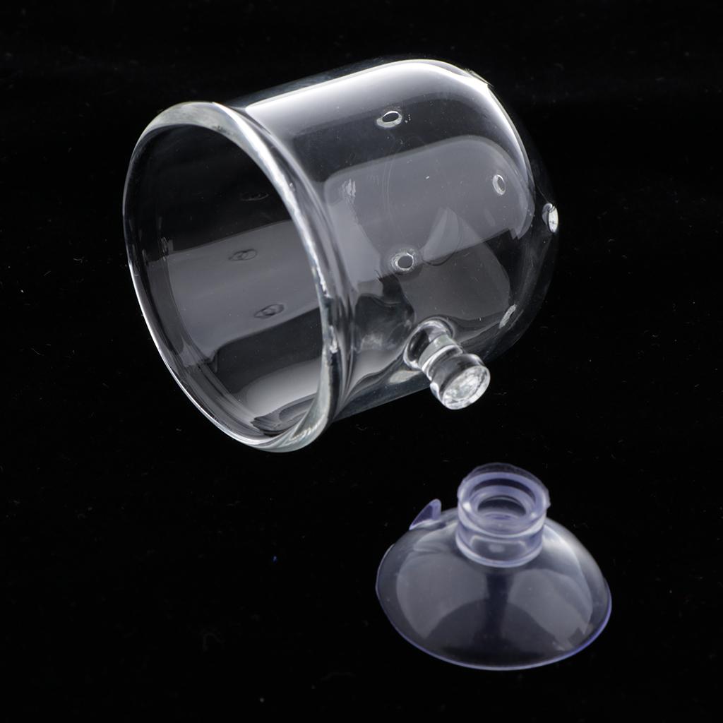Fish Feeding Basket Glass Aqua - огляд і ціна Aquarium Plants Live