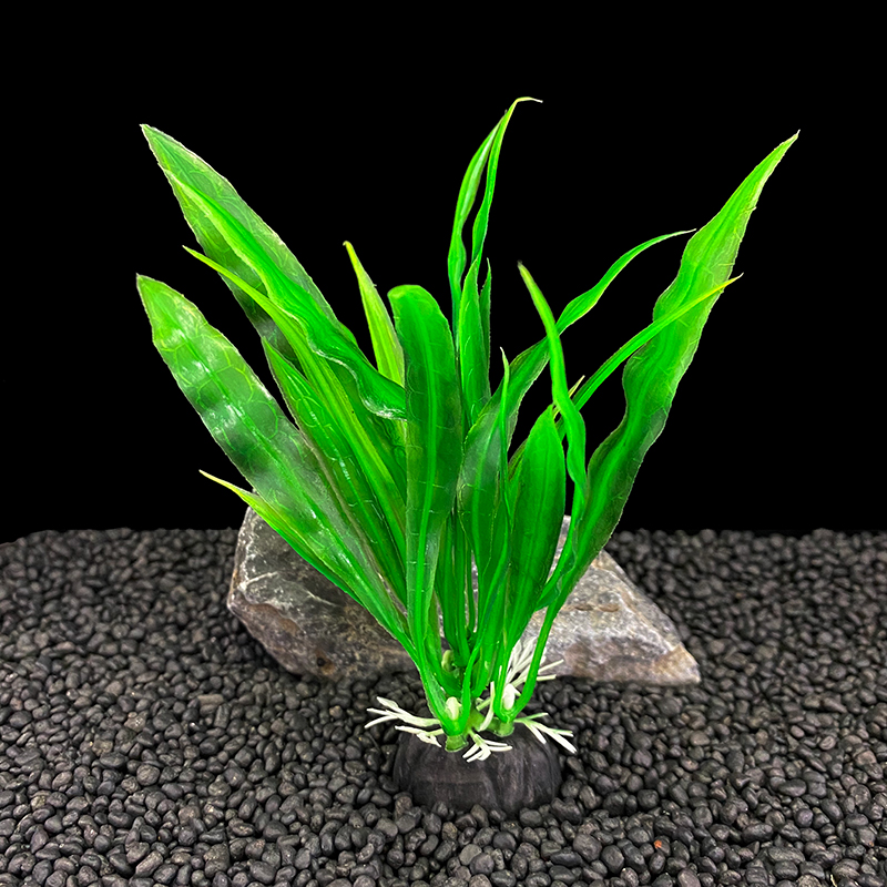 6pcs Packs Aquarium Plants, Fi - огляд і ціна Aquarium Plants Live